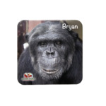 BRYAN BEER COASTER